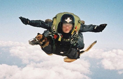 DOGS AWAY! Pups Go Parachuting to Sniff out the Taliban