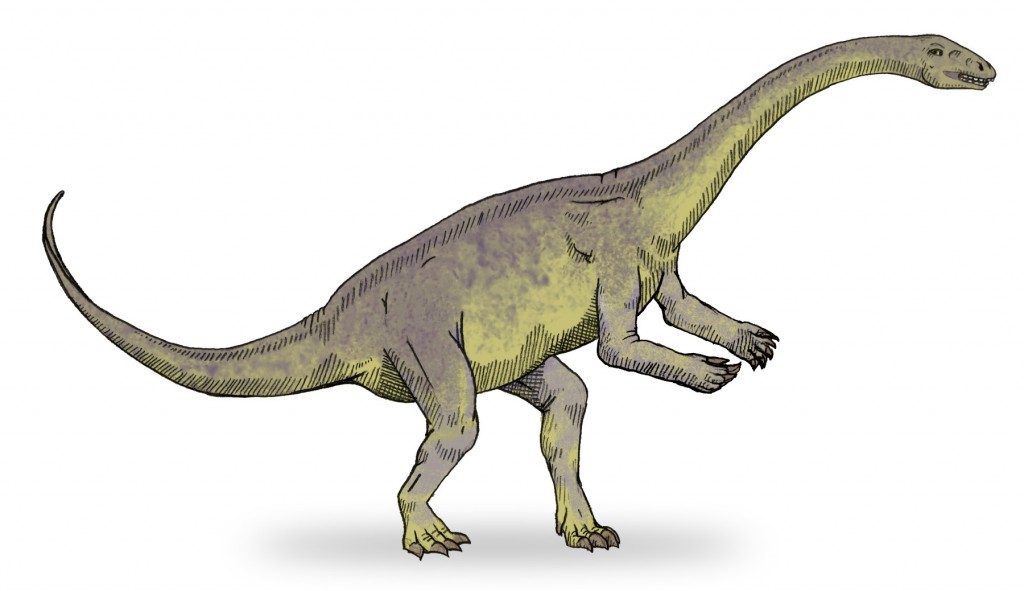 An artist's rendering of Lufengosaurus, an Early Jurassic dinosaur first unearthed in China in the 1930s and now seen in a new light, so to speak, thanks to chemical signatures found in a fossilized rib. Credit: Debivort/Wikimedia Commons.