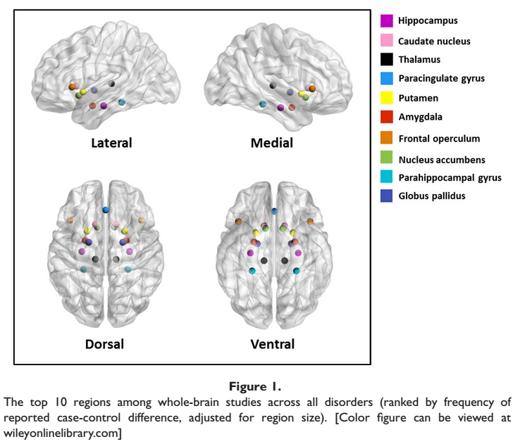 What Can fMRI Tell Us About Mental Illness?