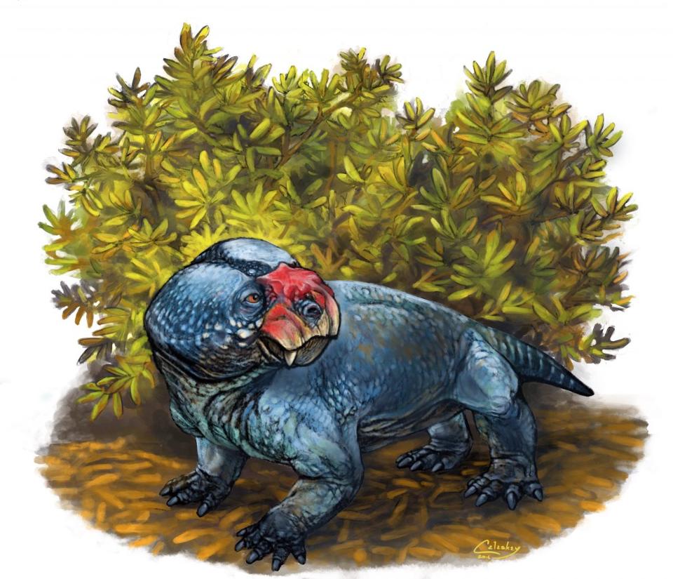 Part Turtle, Part Pig, Bulbasaurus Was a Stout Survivor