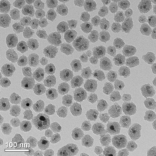 Iron-oxide-nanoparticles(!).tif