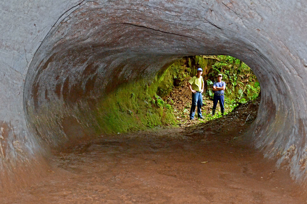 Get Lost in Mega-Tunnels Dug by South American Megafauna