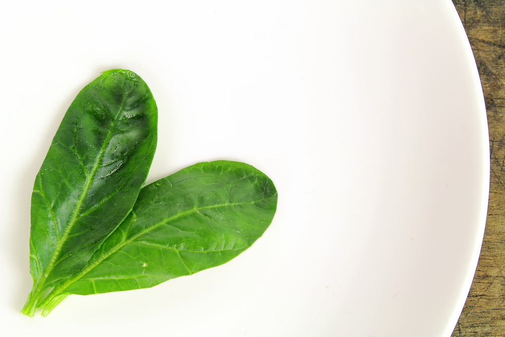 How to Turn a Spinach Leaf into Beating Heart Tissue