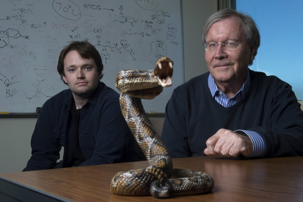 Is a new 'nanodote' the next big thing in snakebite treatment? Not yet.