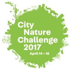 City Nature Challenge 2017: Get started with iNaturalist and SciStarter
