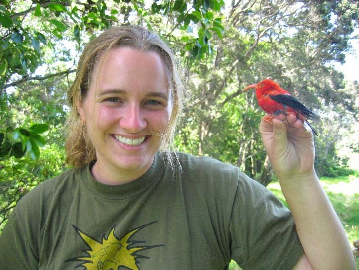 A predoctoral Kira Krend holding an Iiwi, one of the most iconic native Hawaiian bird species. Photo courtesy of Dr. Krend