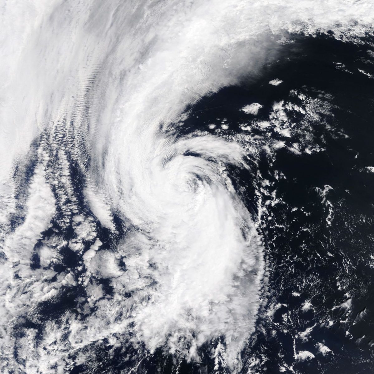 Tropical Storm Arlene spins up in the north Atlantic — two months before the average date of the first named storm of hurricane season