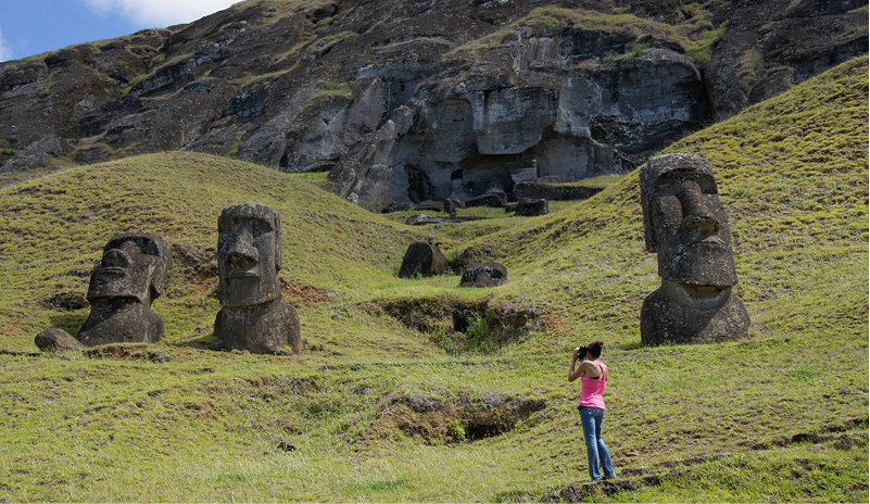 Extinction for Easter Island’s Last Endemics