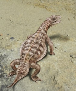 An artist's reconstruction of what E. dalsassoi may have looked like. ((Credits: Beat Scheffold; Palaeontological Institute and Museum, University of Zurich, Switzerland).