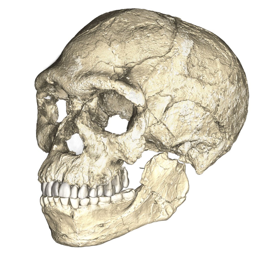 Meet The New Oldest Homo Sapiens — Our Species Evolved Much Earlier Than Thought