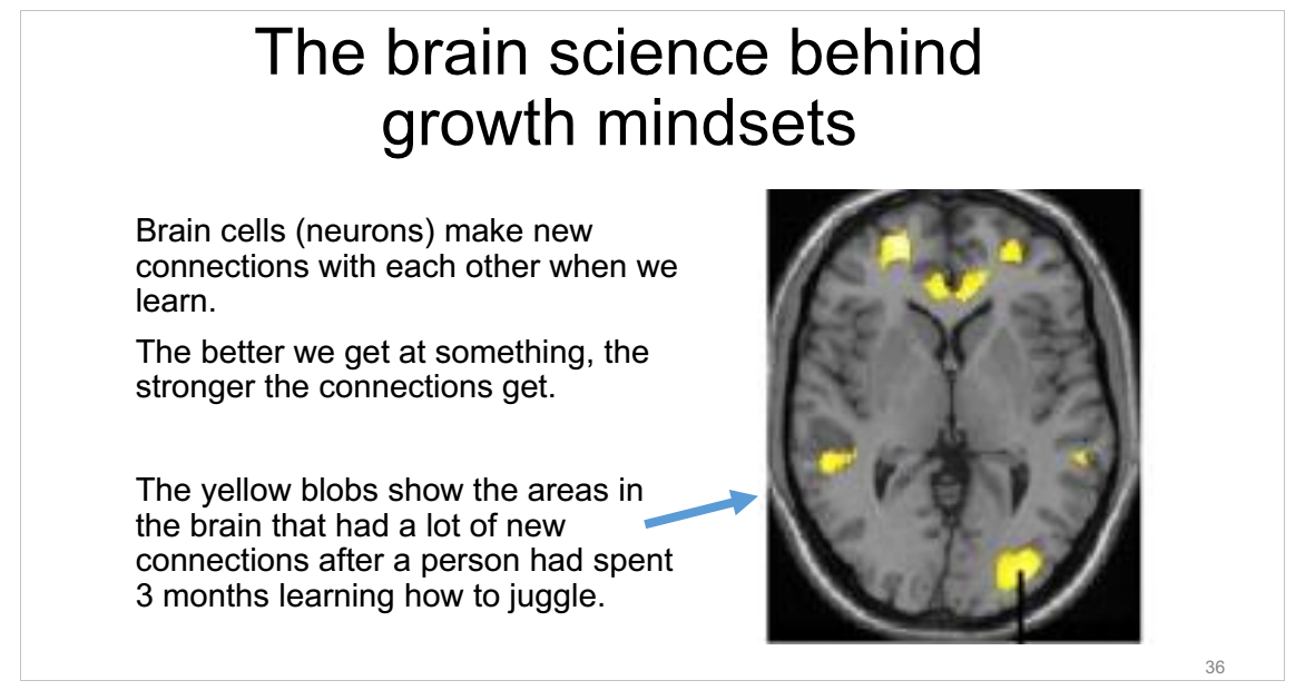 Political Neuroscience: “Growth Mindsets” and Disability