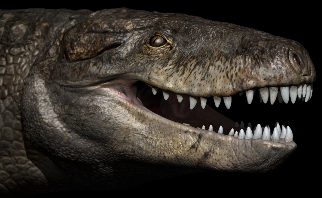 Jurassic Megapredator Was Armed With T. rex Teeth