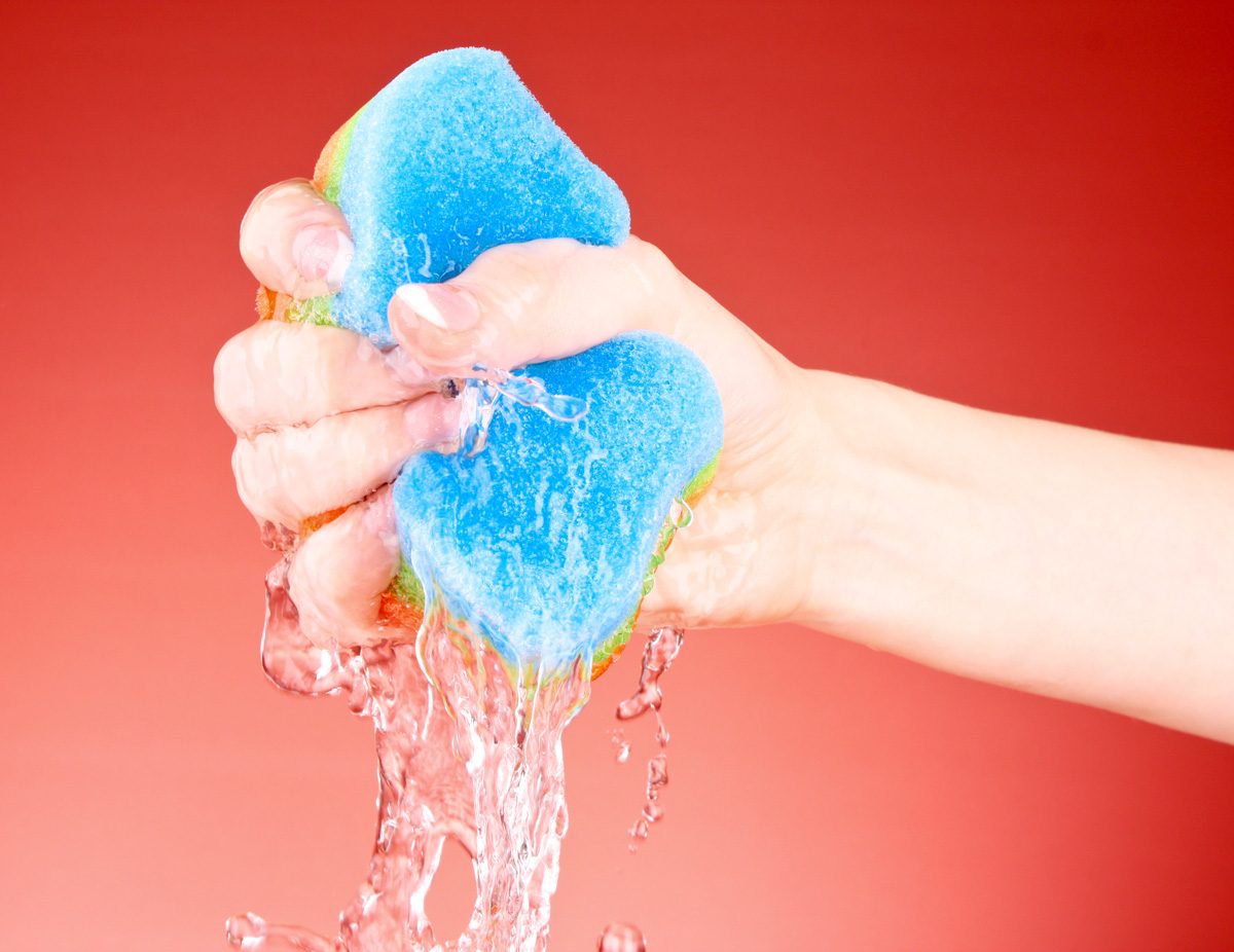 Your Kitchen Sponge is Covered With Bacteria — Don't Bother Cleaning It