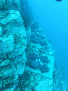 The panels placed on the seabed. (Credit: Gail Ashton)