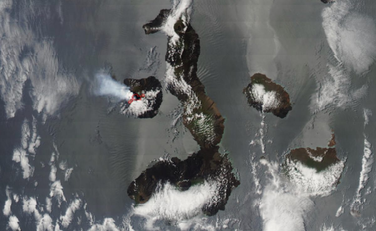 First Eruption since 2009 Started at Fernandina in the Galapagos