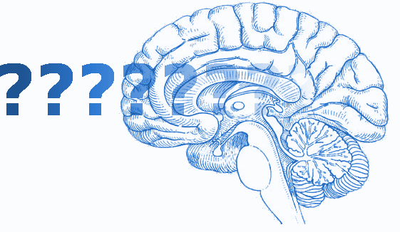 Can Neuroscience Inform Everyday Life? The “Translation Problem”