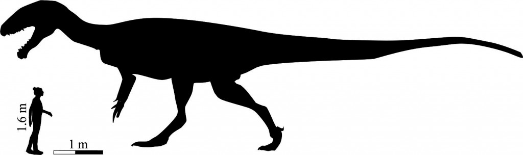 Southern Africa's New Mega-Carnivore: A Whole Lotta Dinosaur
