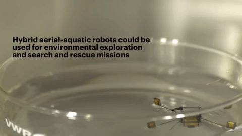 Robot Aces Water-to-Air Transition