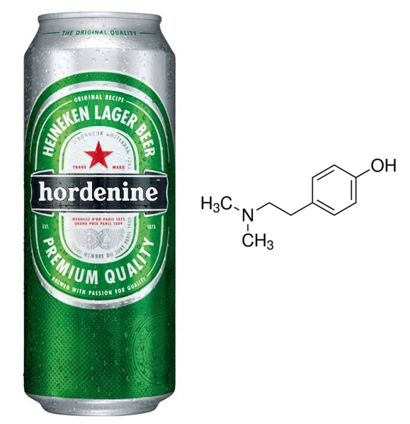 “Happy Chemical” Discovered In Beer?