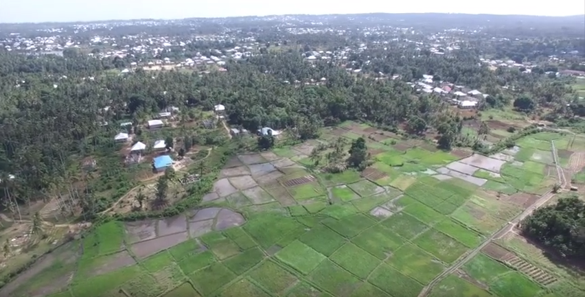 rice-paddy-zanzibar-drone-mosquito-malaria