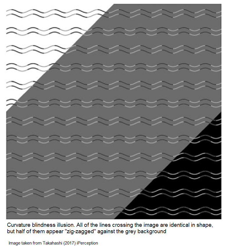 The Remarkable “Curvature Blindness” Illusion