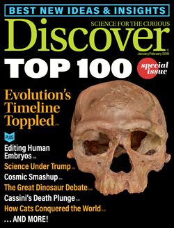 Human Evolution Timeline Topples