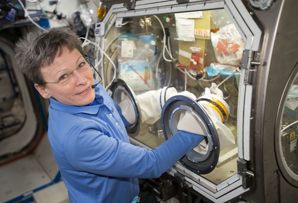 An Unknown Microbe Sequenced in Space for the First Time