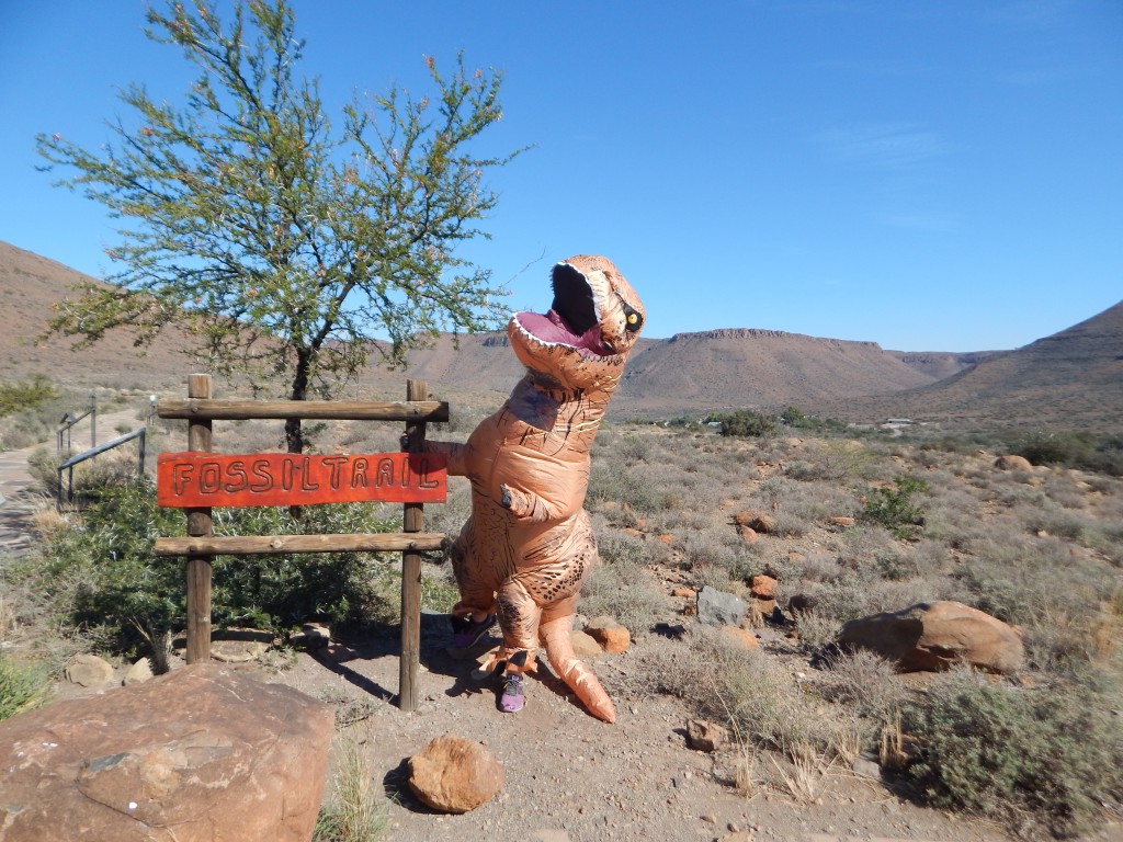 South Africa's Karoo Supergroup has provided a trove of fossils from the Carboniferous to the Jurassic, including key periods of the Triassic. My friend and I were fortunate enough to visit part of the Karoo in 2017, even though I warned her, as a late Cretaceous critter, she had no business being in the area. (Credit G. Tarlach)