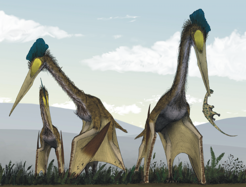 The Glorious Twilight of Pterosaurs