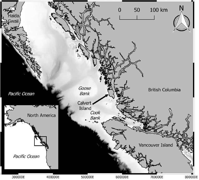 A close up of Calvert Islands and the current coastline of the Canadian Pacific, paired with bathymetric information: black is a depth of 1,000 meters or more. (Credit McLaren et al after imagery from Sci Tech and the Living Oceans Society)