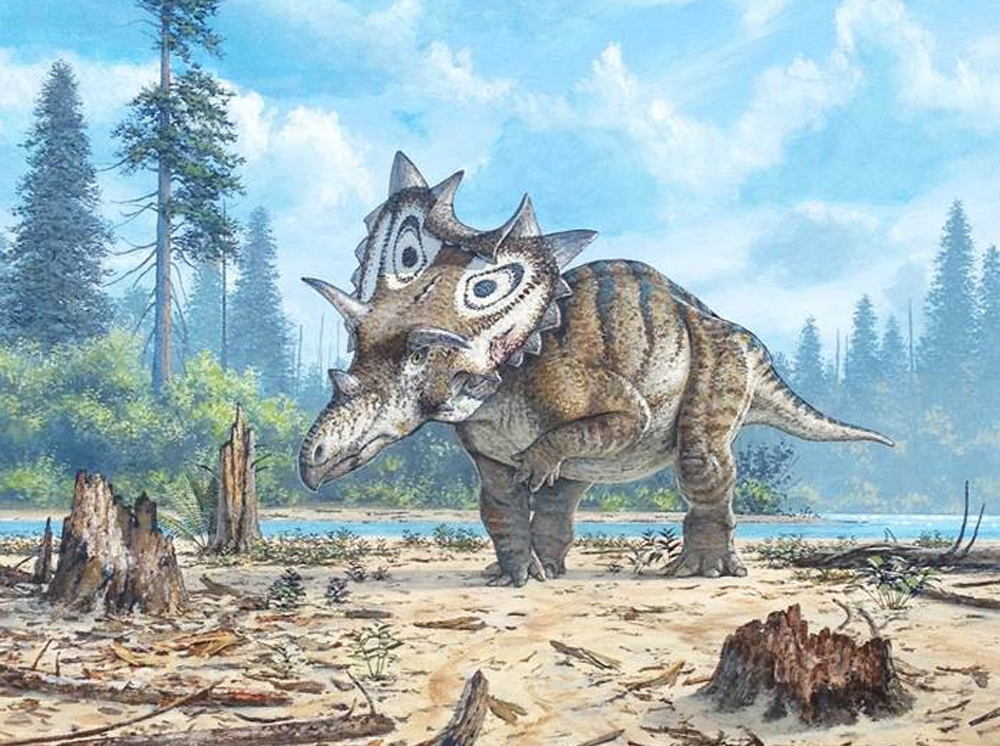 Limpin' ain't easy: Artist's rendering of the dinosaur formerly known as Judith spotlights a left forelimb that was likely useless for walking due to arthritis and infection. Credit: Mike Skrepnick