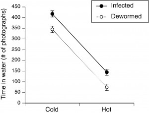 Paper figure showing how infected toads spent way more time in water than those that were dewormed. Figure 1 from Finnerty et al. 2018.
