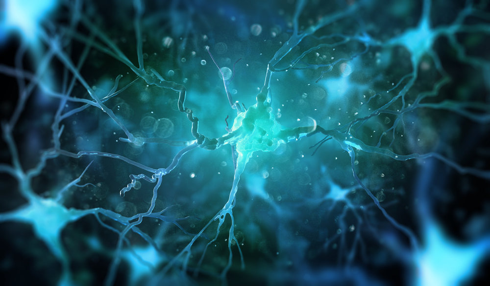 Do Older Brains Make New Neurons or Not?