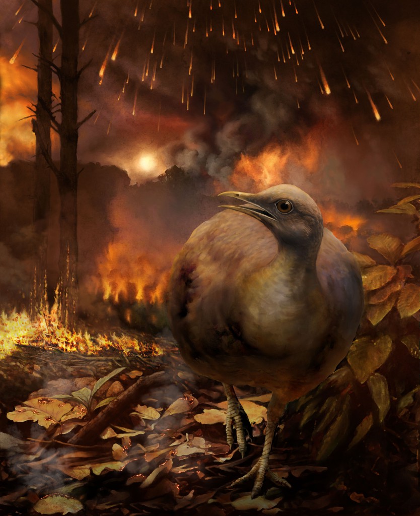 Dinosaur Doom Almost Wiped Birds Out, Too