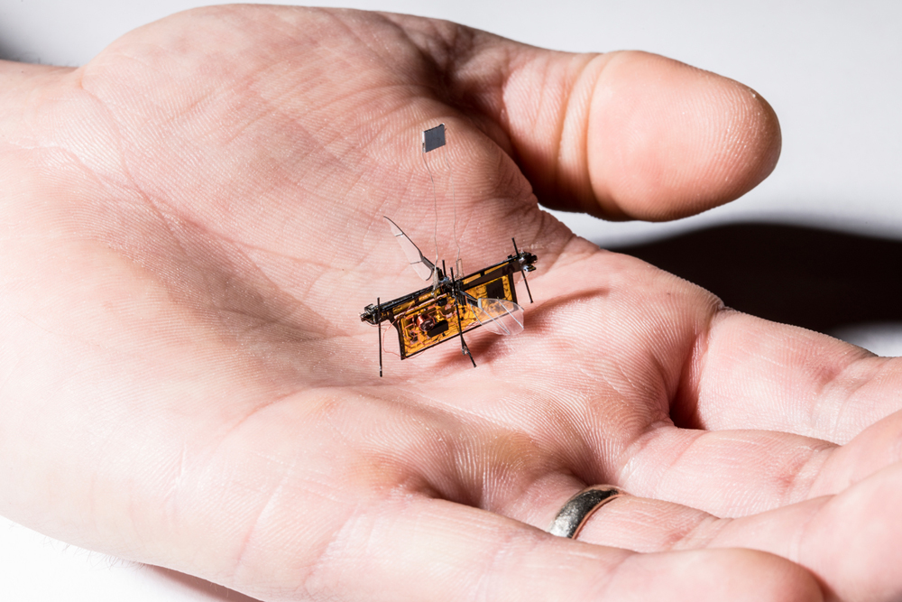 Robotic Insect Finally Flies Wirelessly