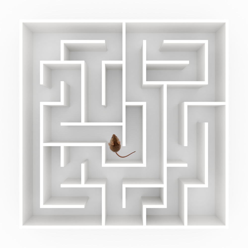 How to Build A Better Mouse Maze