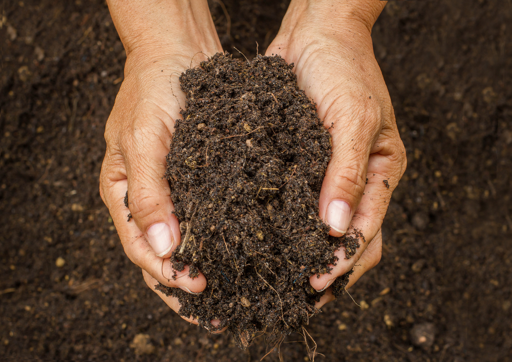 Dirt Could Help Fight Superbugs