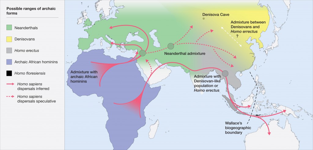 Map of the potential distribution of archaic hominins, including H. erectus, H. floresiensis, H. neanderthalenesis, Denisovans and archaic African hominins, in the Old World at the time of the evolution and dispersal of H. sapiens between approximately 300 and 60 thousand years ago. CREDIT Roberts and Stewart. 2018. Defining the 'generalist specialist' niche for Pleistocene Homo sapiens. Nature Human Behaviour. 10.1038/s41562-018-0394-4.