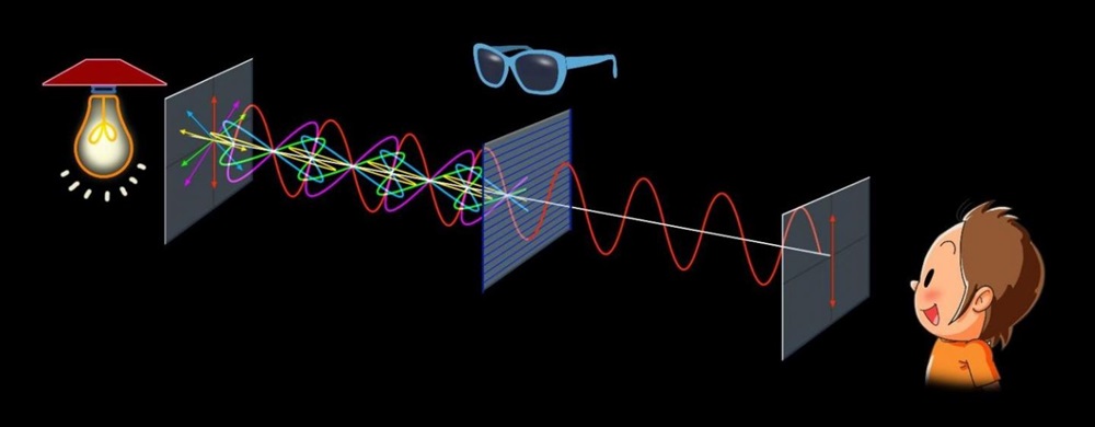 Polarization occurs when light vibrates in the same direction. This often occurs when the light is reflected. In this illustration, polarized sunglasses filter out scattered light; because no such filter exists for X-rays, the astronomers in this study instead measured the polarization of all incoming light to determine whether much of it was polarized (reflected) or not. (Credit: Masako Hayashi, CORE-U, Hiroshima University)