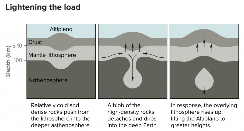 Evidence suggests that the Altiplano rose in pulses â€” speedy for geologic phenomena. One explanation for these pulses involves the dripping of dense rock called eclogite from the lower crust, buoying the land above. (Credit: K. Cantner (American Geosciences Institute)/Earth Magazine)