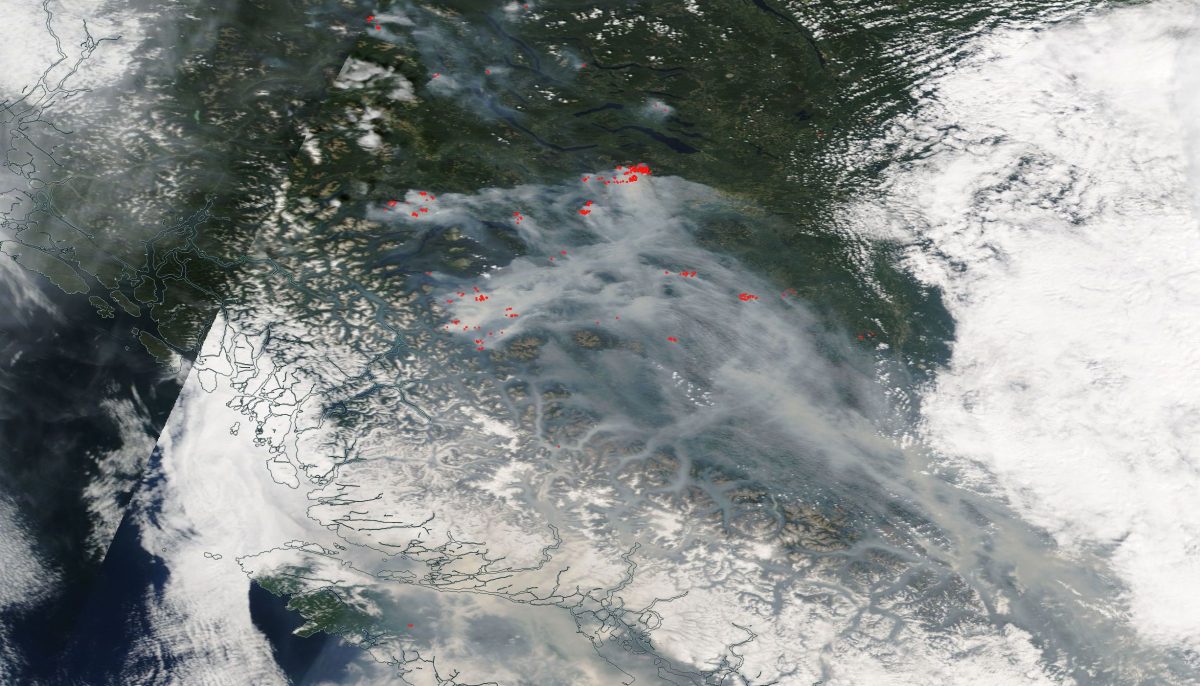From space, numerous wildfires look like glittering embers strewn across a vast swath of the Pacific Northwest