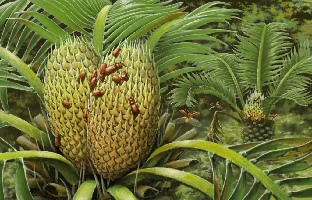 This illustration is an ecological reconstruction of the mid-Cretaceous Cretoparacucujus burmiticus CREDIT Chenyang Cai