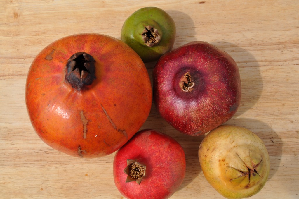 Five pomegranates of varying sizes and shapes sit on a table.