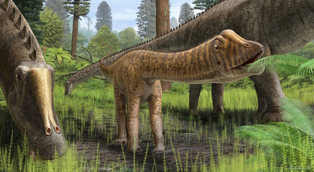 Baby Dinosaur Named Andrew Reveals How Sauropods Grew So Big Eating Plants