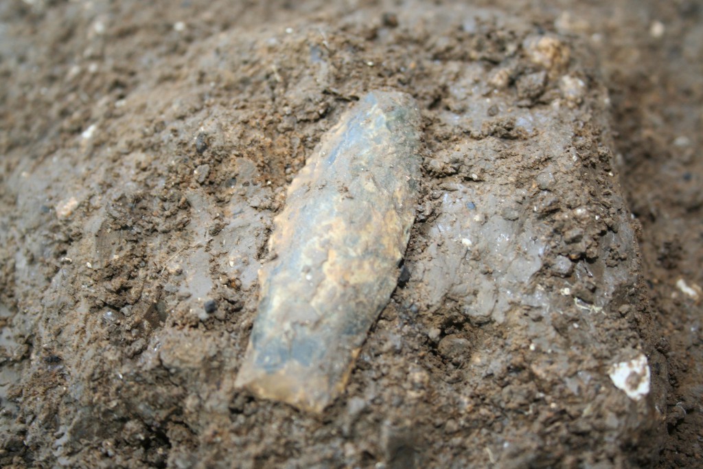 First Americans: Pre-Clovis Projectiles Hint At Multiple Migrations