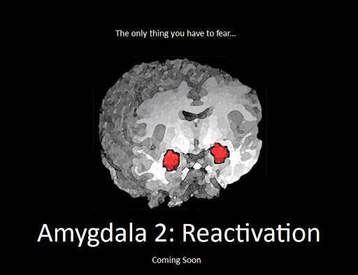 “Can I Have My Amygdala Removed?”
