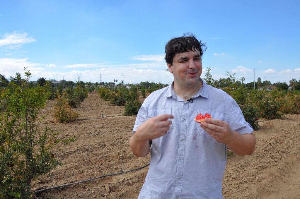 America's Pomegranates Are a Bore. One Researcher is Using His Grandfather's Fruit to Change That