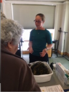 UMaine Cooperative Extension seaweed project