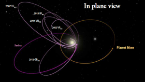 clustered orbits in purple, with planet nine's suspected orbit in orange