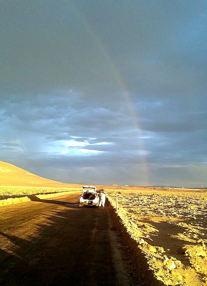 When It Rains in the Atacama Desert, the Microbes There Die